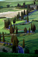20090520 Val d'Orcia 444